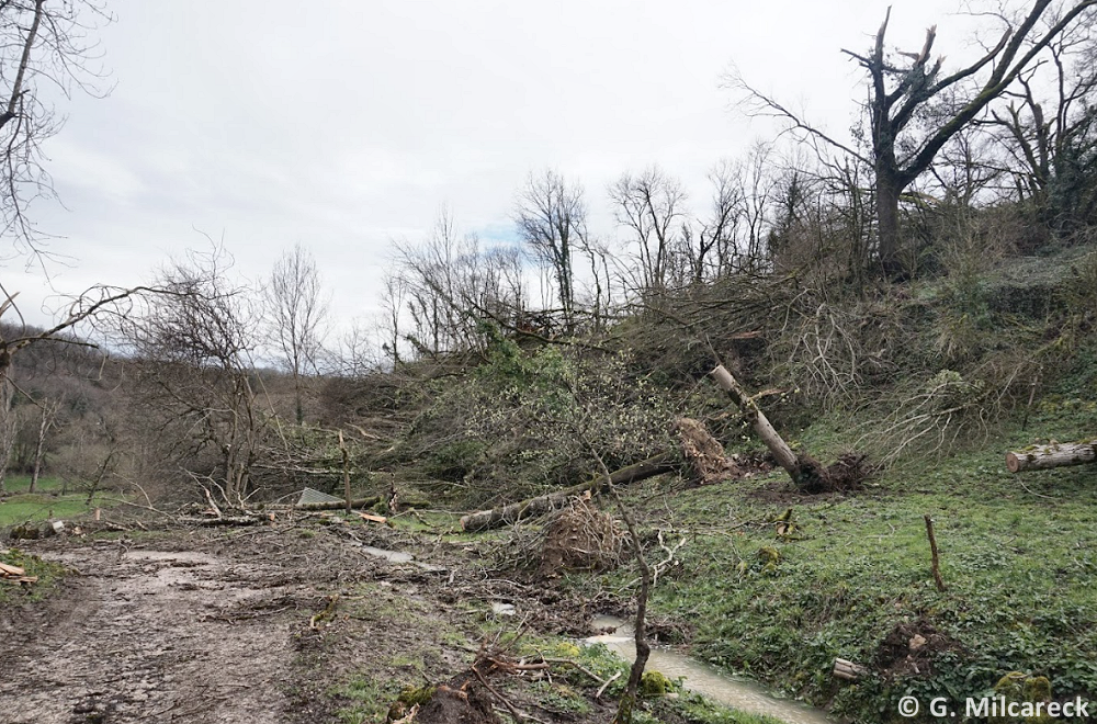 Tornade EF1 à Fauroux (Tarn-et-Garonne) le 5 mars 2024