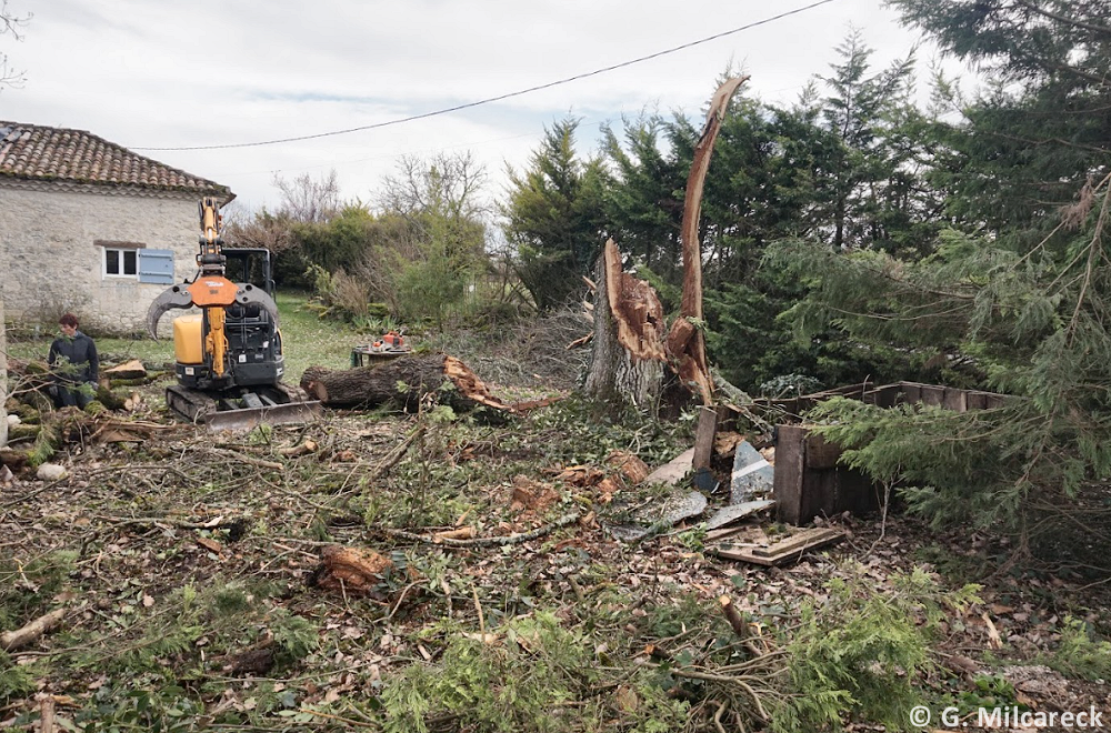 Tornade EF1 à Fauroux (Tarn-et-Garonne) le 5 mars 2024