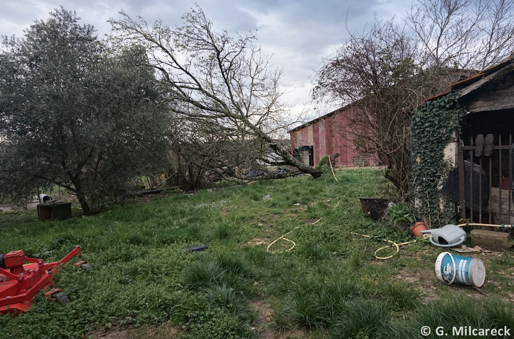 Tornade EF1 à Fauroux (Tarn-et-Garonne) le 5 mars 2024