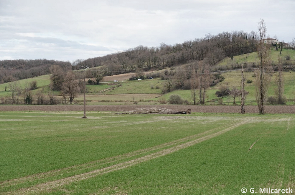 Tornade EF1 à Fauroux (Tarn-et-Garonne) le 5 mars 2024