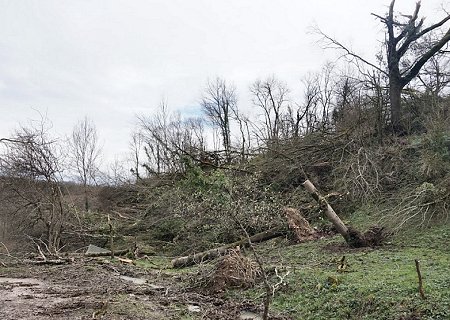 Tornade EF1 à Fauroux (Tarn-et-Garonne) le 5 mars 2024