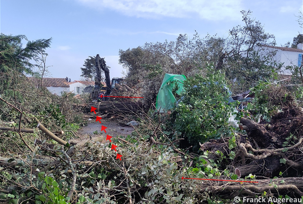 Tornade EF1 à l'Île-d'Yeu (Vendée) le 27 mars 2024