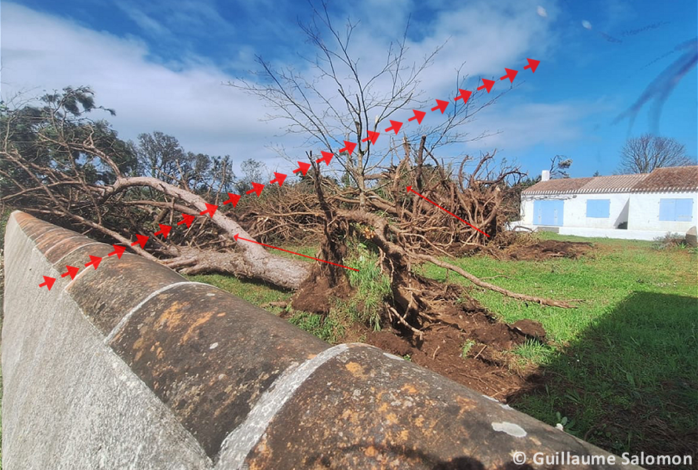 Tornade EF1 à l'Île-d'Yeu (Vendée) le 27 mars 2024