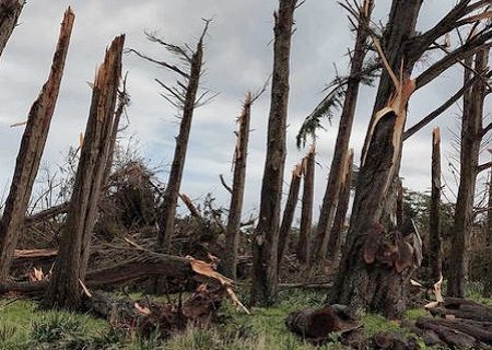 Tornade EF1 à l'Île-d'Yeu (Vendée) le 27 mars 2024