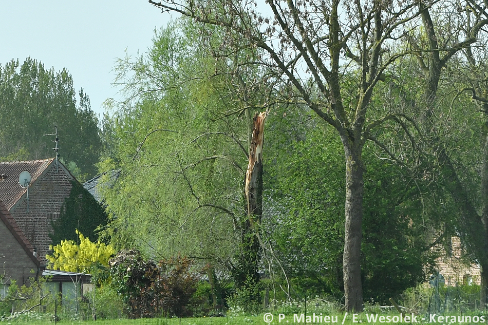 Tornade EF1 à Lestrem (Pas-de-Calais) le 8 avril 2024