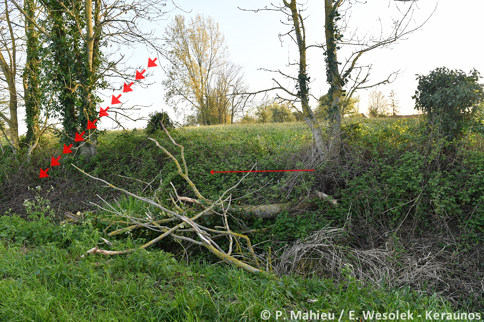 Tornade EF1 à Lestrem (Pas-de-Calais) le 8 avril 2024