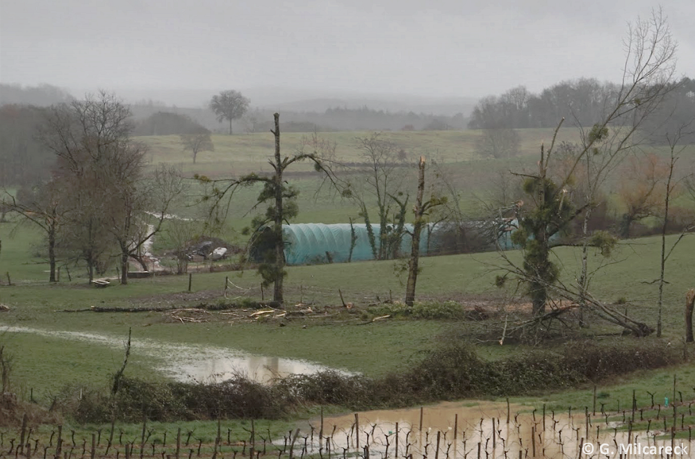 Tornade EF1 à Saint-Sernin (Lot-et-Garonne) le 23 février 2024