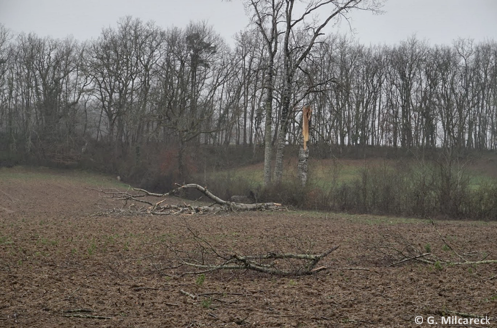 Tornade EF1 à Saint-Sernin (Lot-et-Garonne) le 23 février 2024