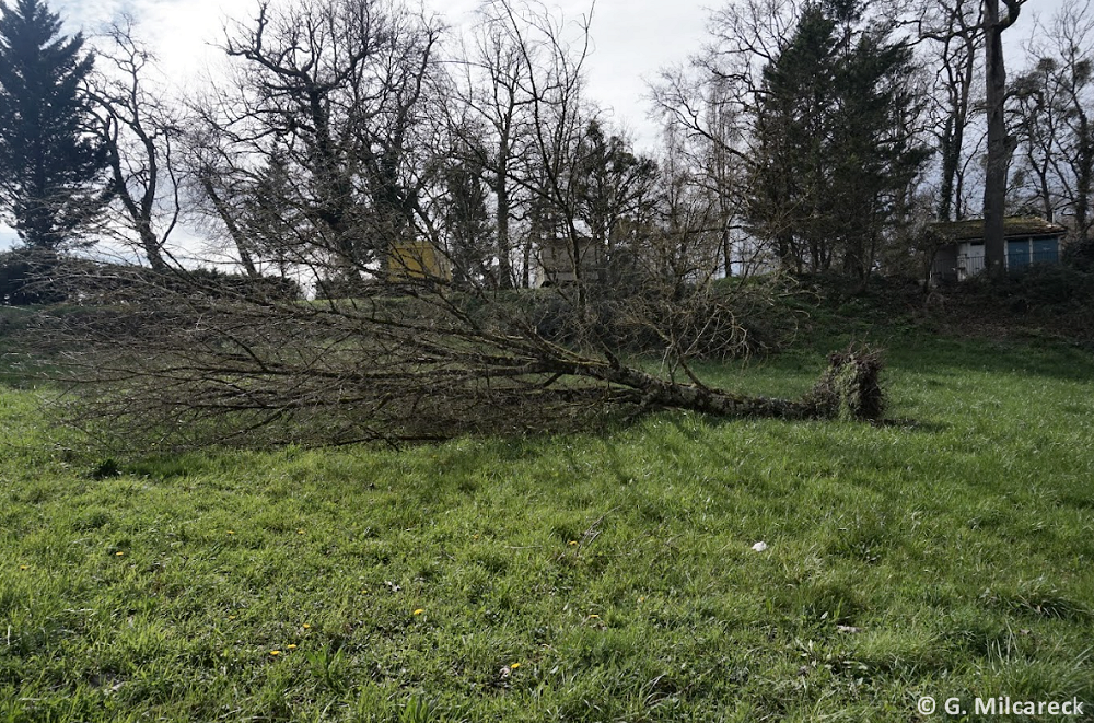 Tornade EF1 à Saint-Sernin (Lot-et-Garonne) le 23 février 2024