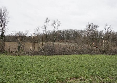 Tornade EF1 à Saint-Sernin (Lot-et-Garonne) le 23 février 2024