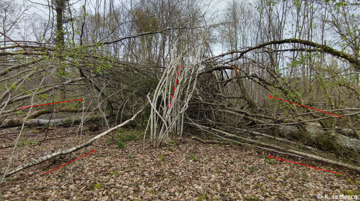 Tornade EF1 à Vitrimont (Meurthe-et-Moselle) le 4 avril 2024