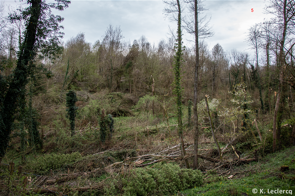 Tornade EF1 à Vitrimont (Meurthe-et-Moselle) le 4 avril 2024