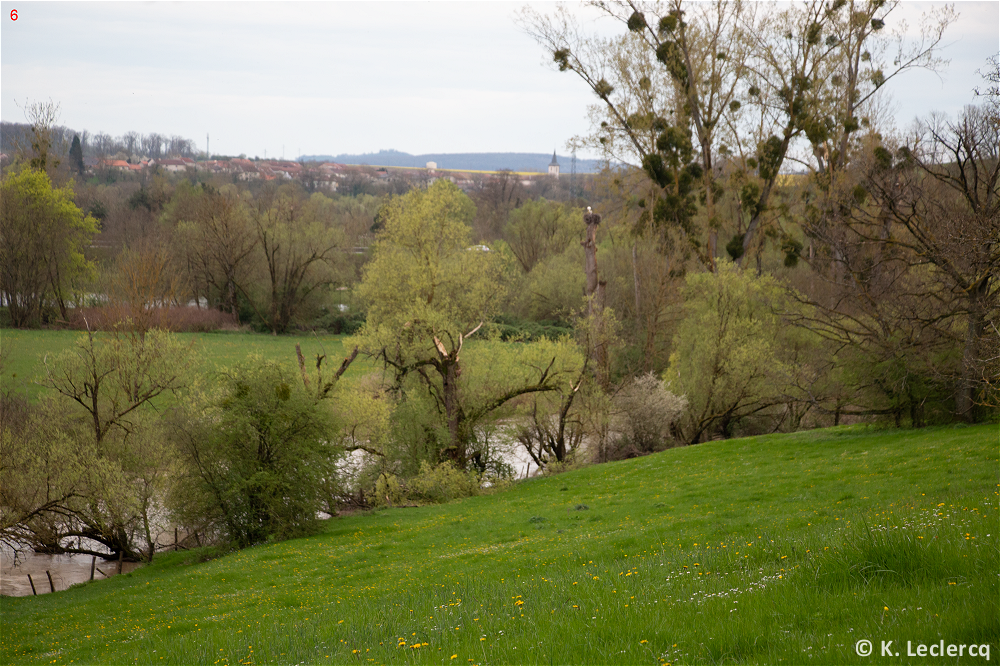 Tornade EF1 à Vitrimont (Meurthe-et-Moselle) le 4 avril 2024