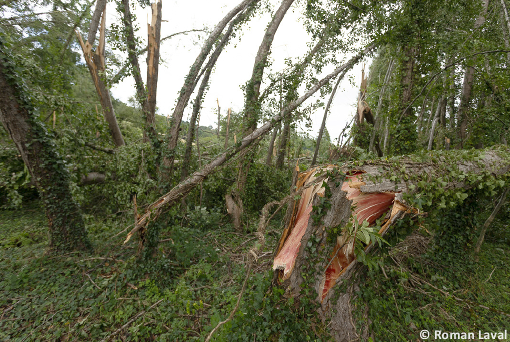 Macrorafale de forte intensité (D3) dans la région de Decazeville (Aveyron) le 25 juin 2025
