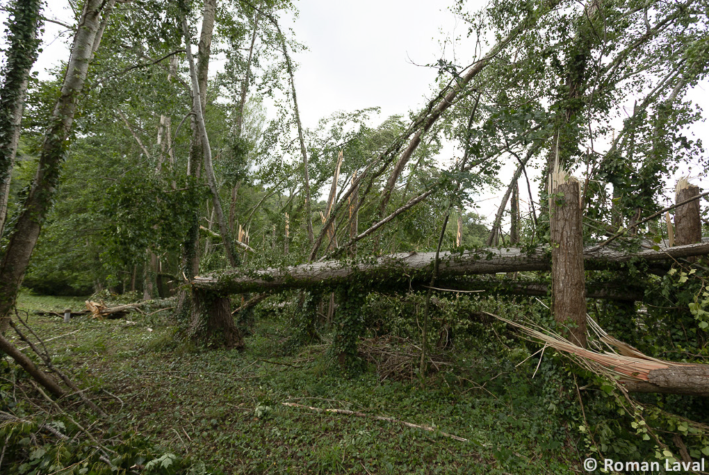 Macrorafale de forte intensité (D3) dans la région de Decazeville (Aveyron) le 25 juin 2025