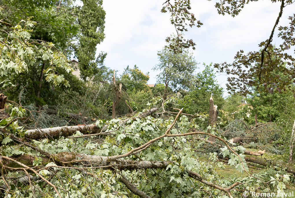 Macrorafale de forte intensité (D3) dans la région de Decazeville (Aveyron) le 25 juin 2025