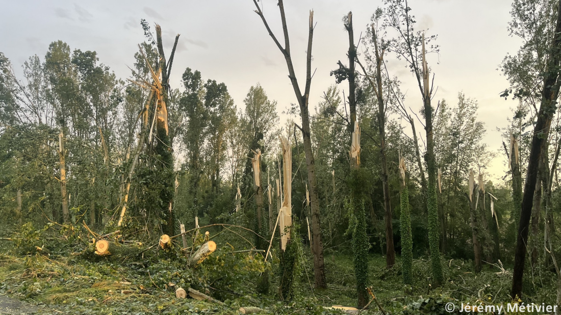 Macrorafales de forte intensité (D3) dans le Centre-Val de Loire le 25 juin 2025