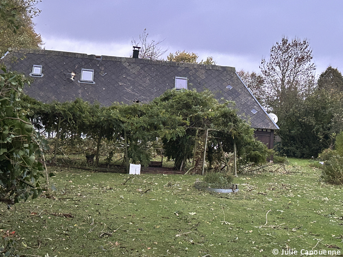 Tornade EF0 à Anglesqueville-la-Bras-Long (Seine-Maritime) le 20 octobre 2025