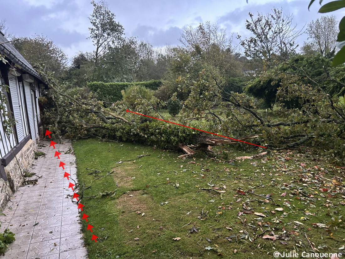 Tornade EF0 à Anglesqueville-la-Bras-Long (Seine-Maritime) le 20 octobre 2025