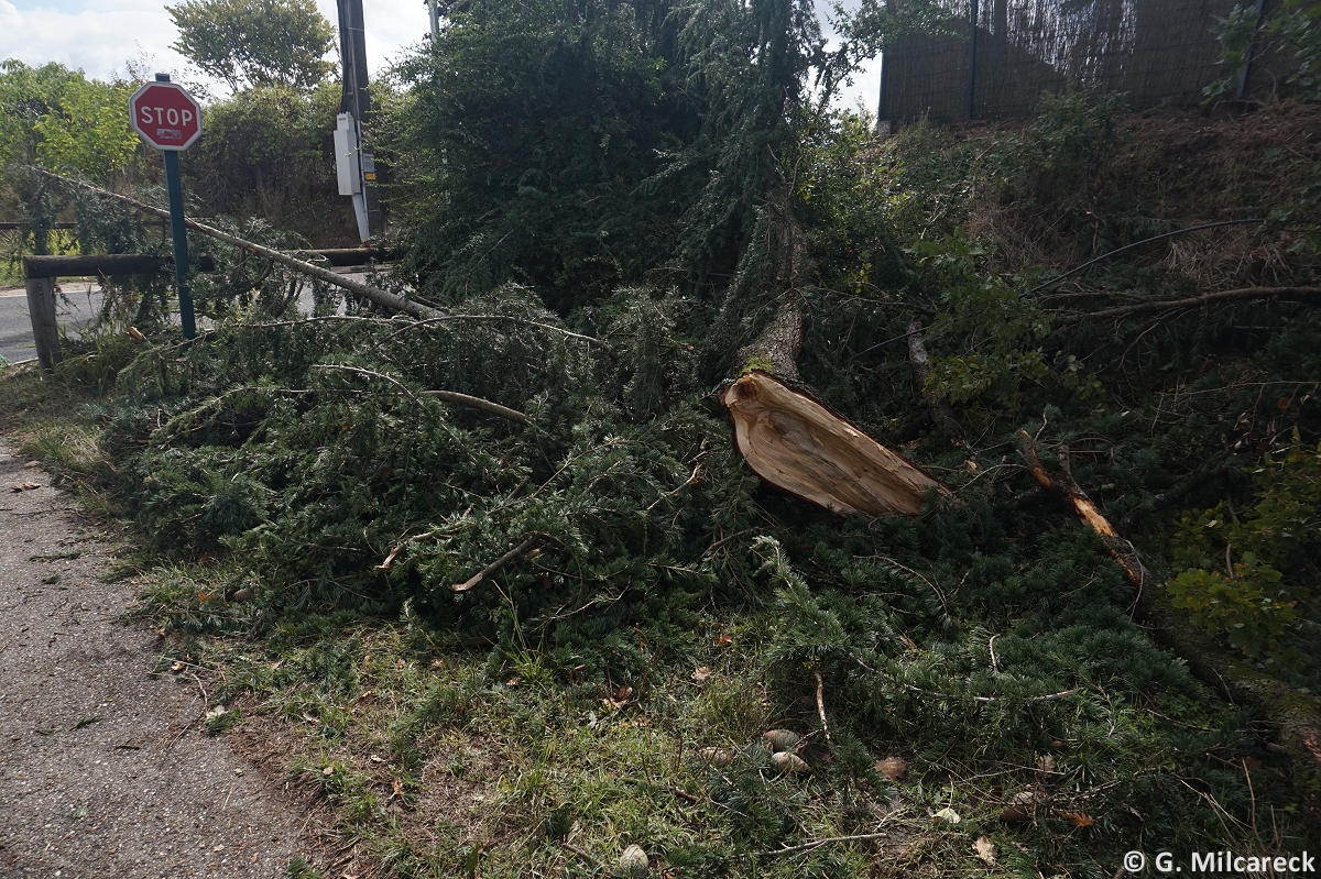Tornade EF0 à Bias (Lot-et-Garonne) le 29 août 2025