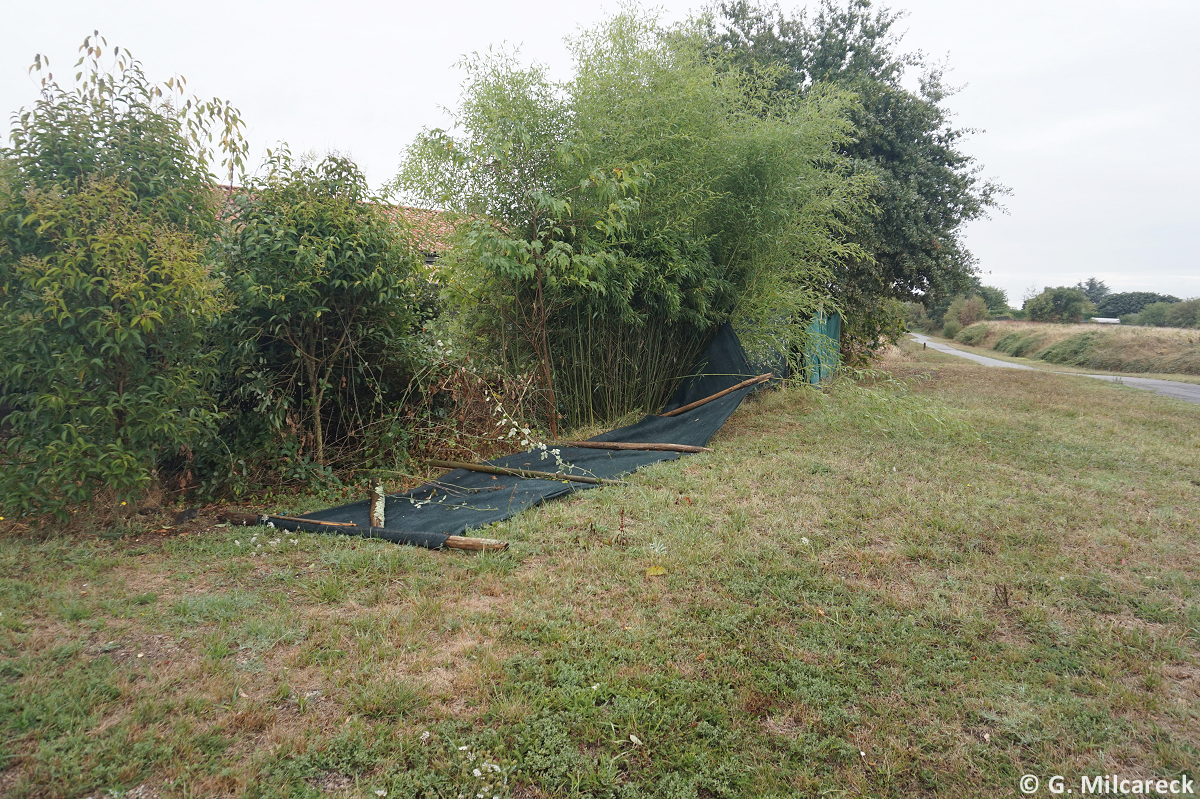 Tornade EF0 à Bias (Lot-et-Garonne) le 29 août 2025