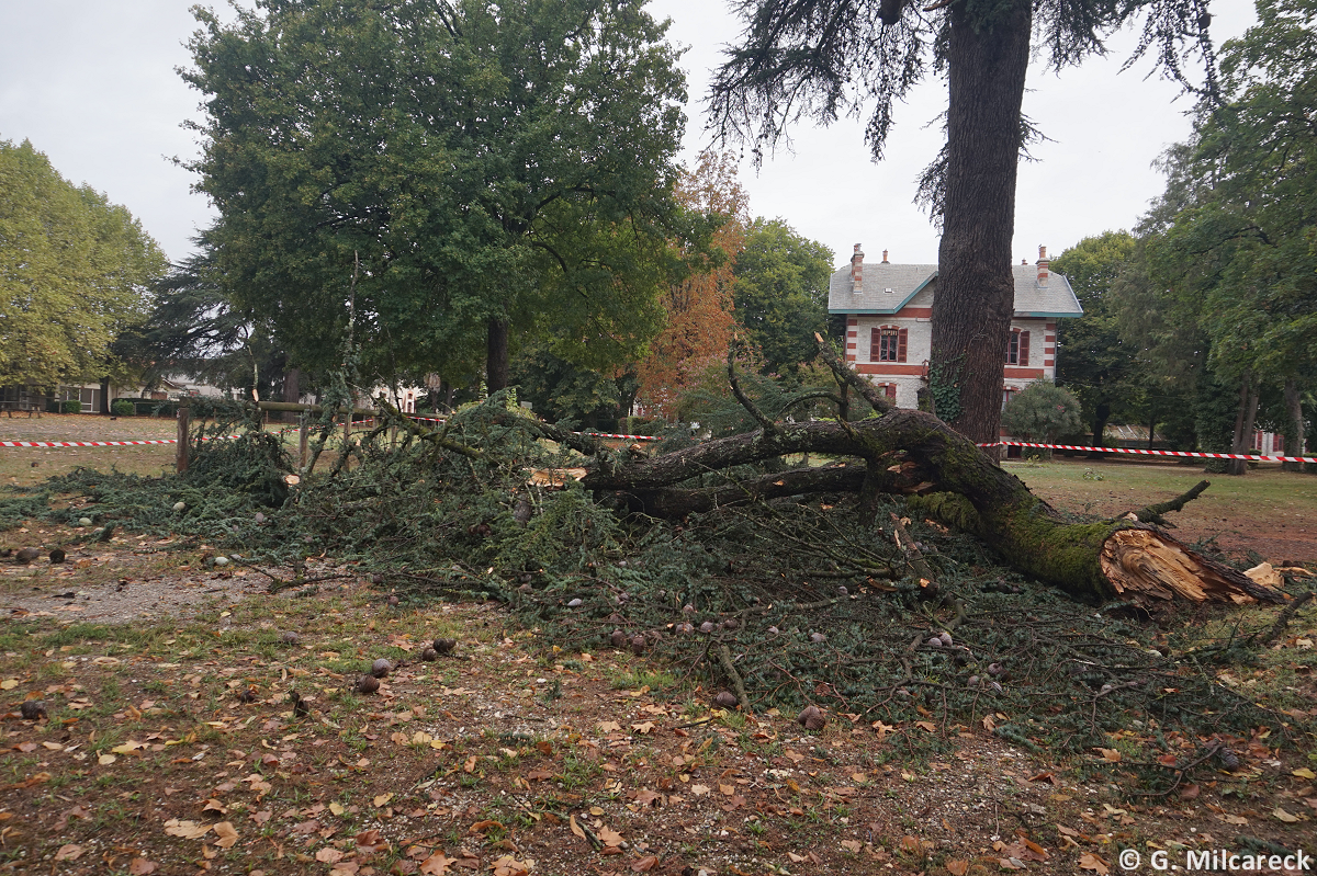 Tornade EF0 à Bias (Lot-et-Garonne) le 29 août 2025