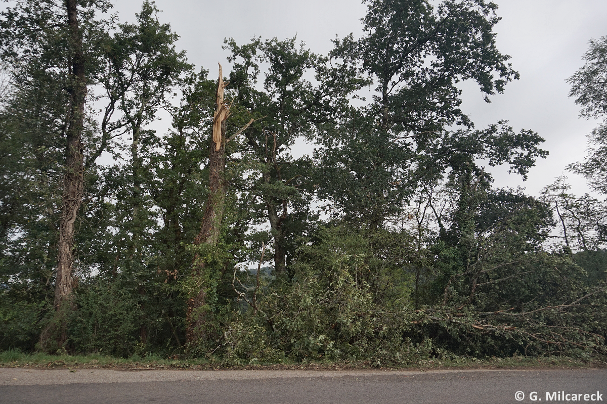 Tornade EF0 à Boisseuil (Haute-Vienne) le 29 août 2025