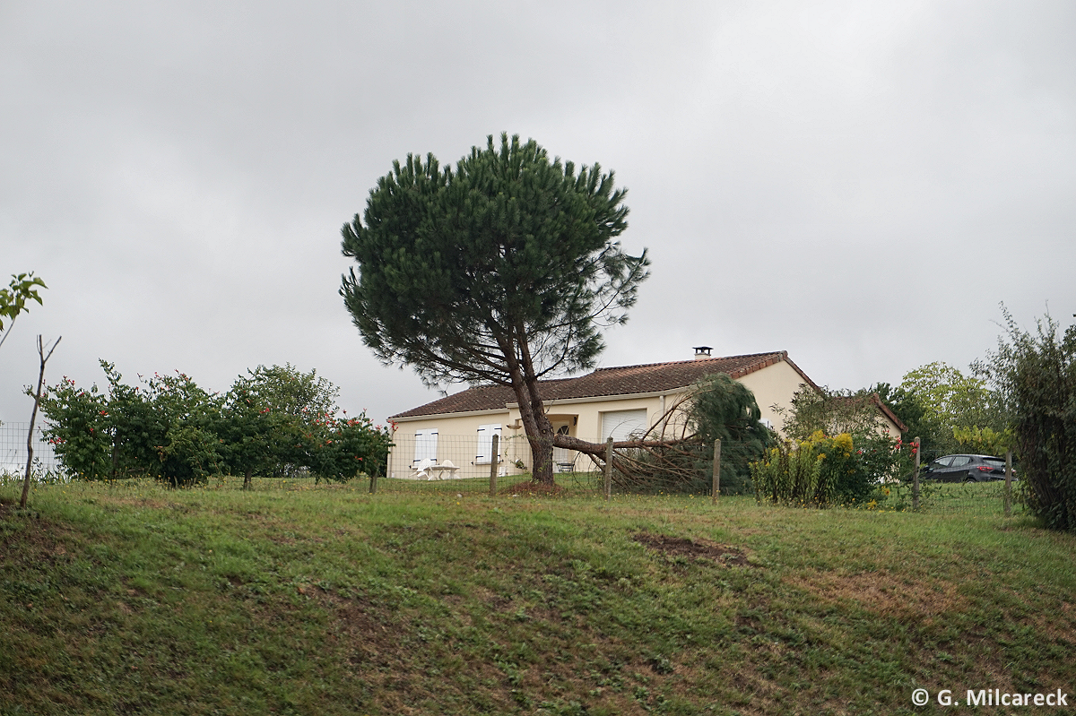 Tornade EF0 à Boisseuil (Haute-Vienne) le 29 août 2025