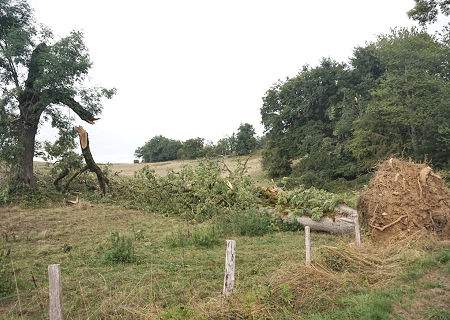 Tornade EF0 à Boisseuil (Haute-Vienne) le 29 août 2025