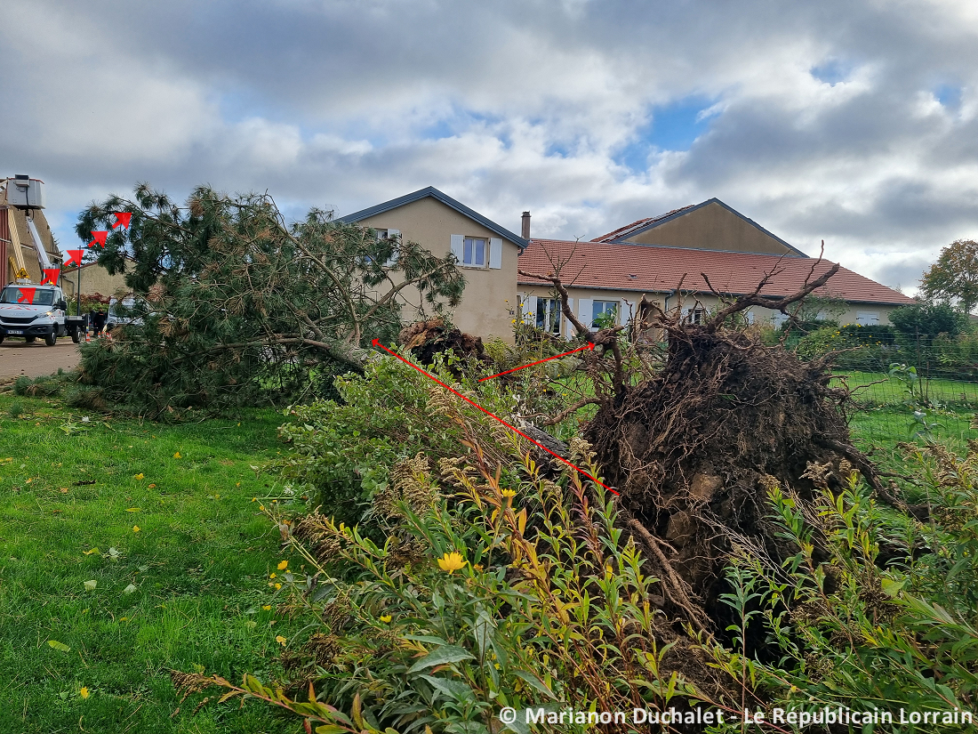 Tornade EF1 à Chambley-Bussières (Meurthe-et-Moselle) le 20 octobre 2025