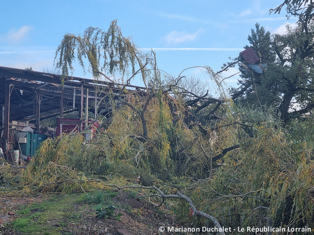 Tornade EF1 à Chambley-Bussières (Meurthe-et-Moselle) le 20 octobre 2025