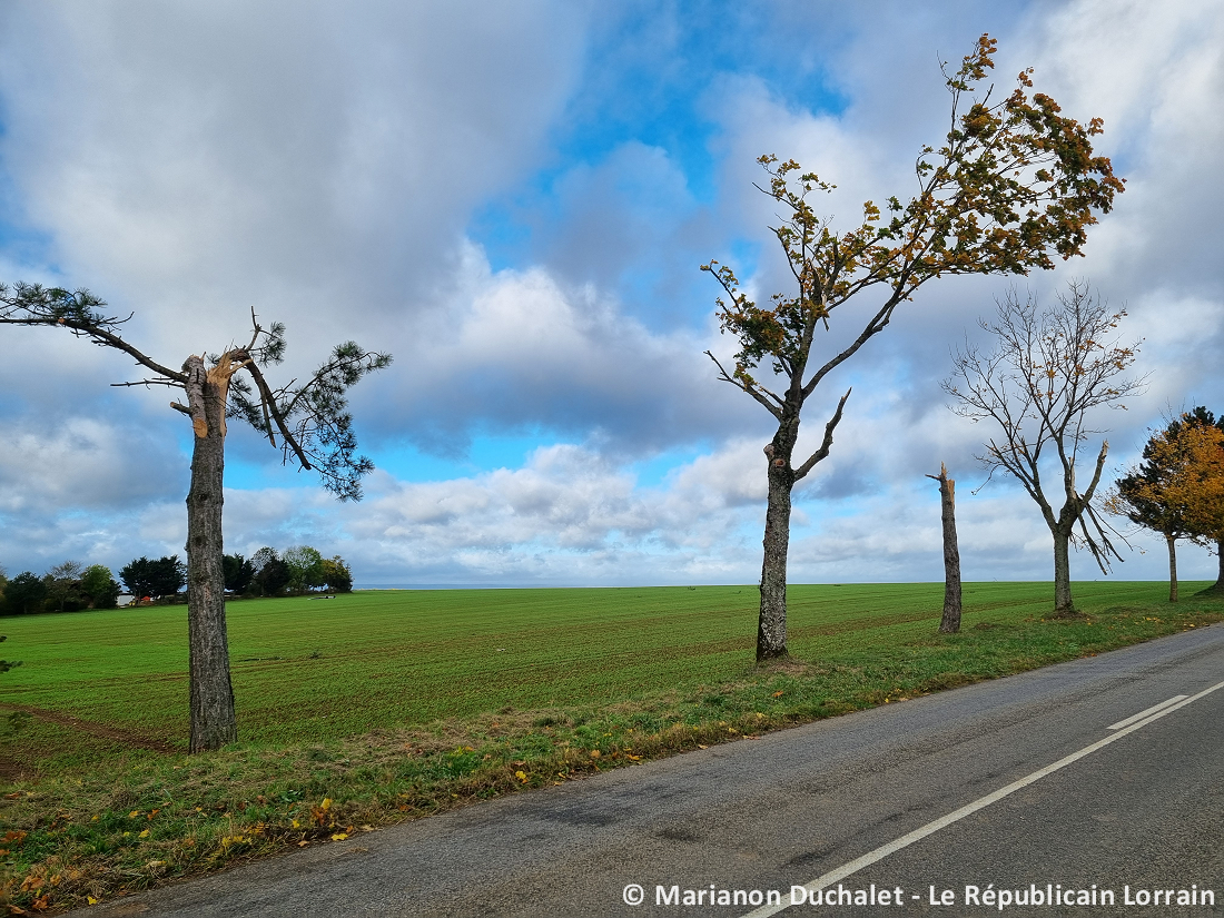 Tornade EF1 à Chambley-Bussières (Meurthe-et-Moselle) le 20 octobre 2025