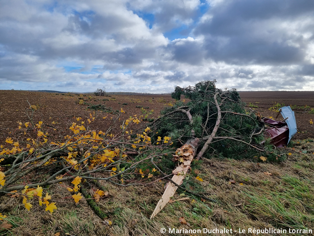 Tornade EF1 à Chambley-Bussières (Meurthe-et-Moselle) le 20 octobre 2025