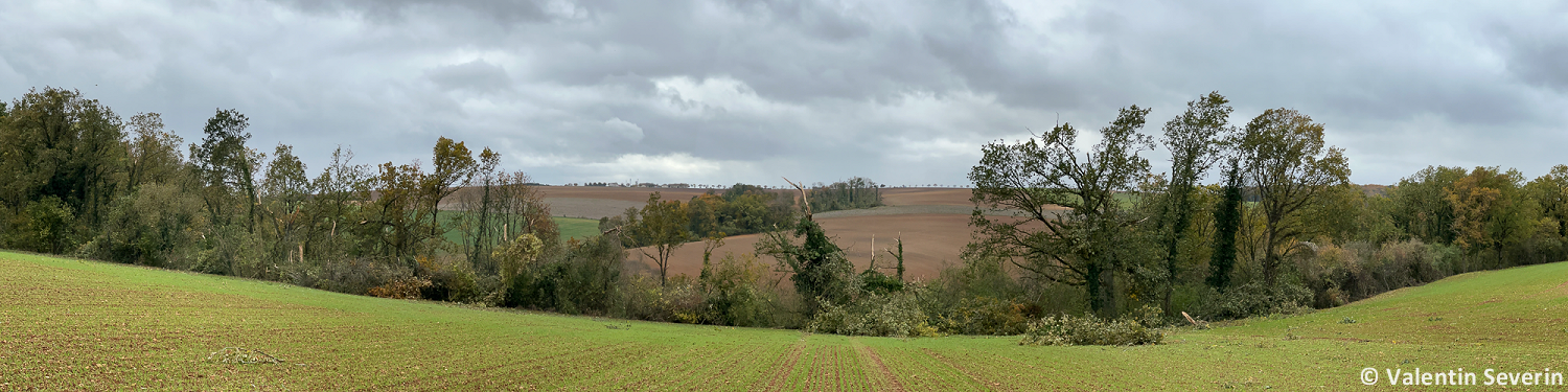 Tornade EF1 à Chambley-Bussières (Meurthe-et-Moselle) le 20 octobre 2025