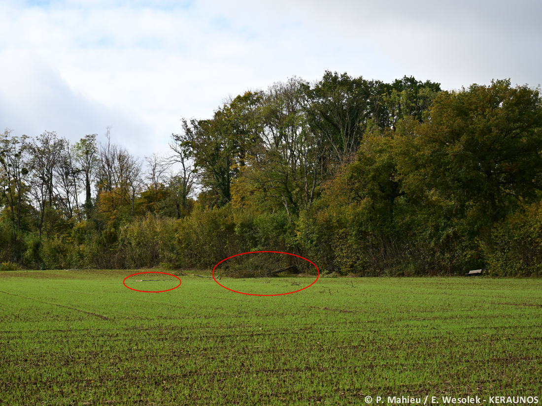 Tornade EF0 à Chaumont-en-Vexin (Oise) le 20 octobre 2025