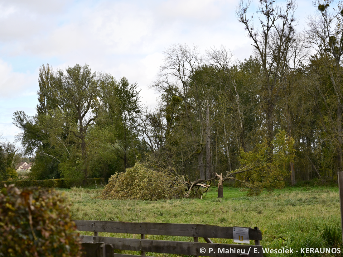 Tornade EF0 à Chaumont-en-Vexin (Oise) le 20 octobre 2025