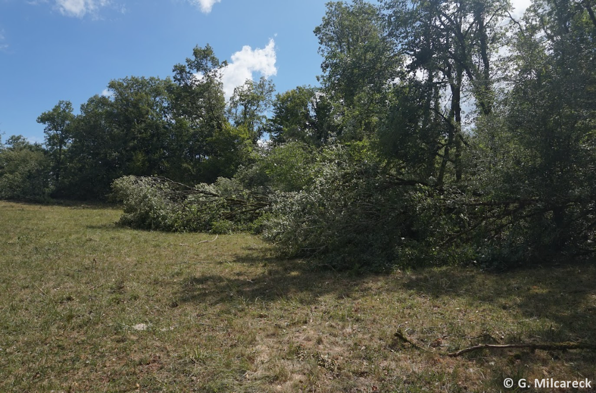 Tornade EF0 à Chavagnac (Dordogne) le 23 juillet 2025