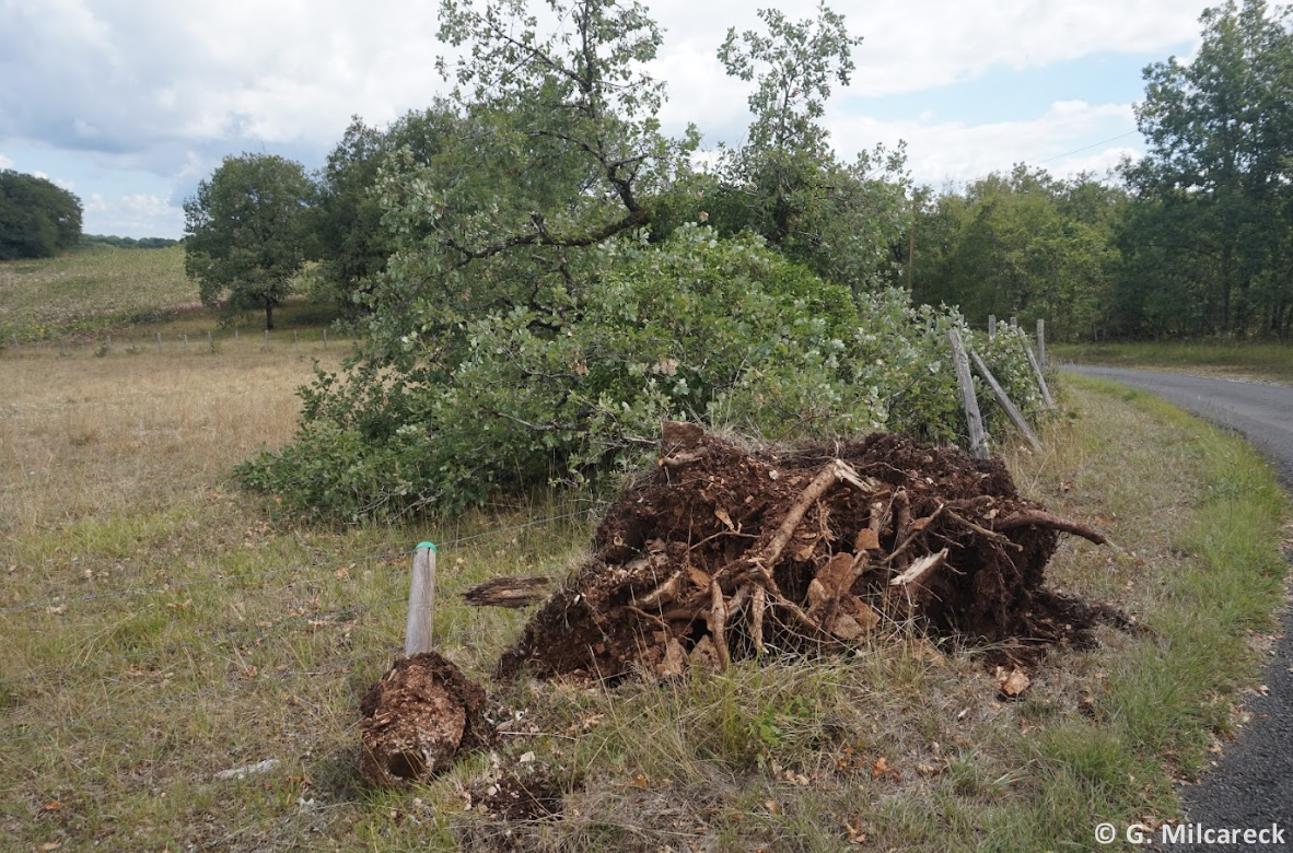 Tornade EF0 à Chavagnac (Dordogne) le 23 juillet 2025