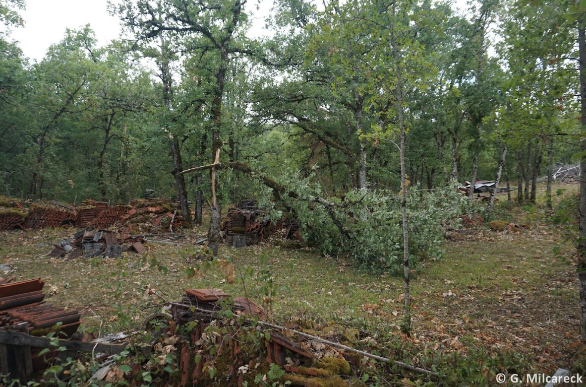 Tornade EF0 à Chavagnac (Dordogne) le 23 juillet 2025