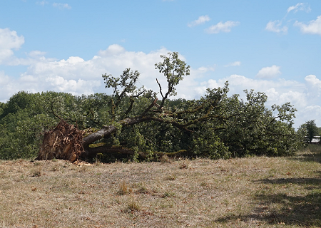 Tornade EF0 à Chavagnac (Dordogne) le 23 juillet 2025