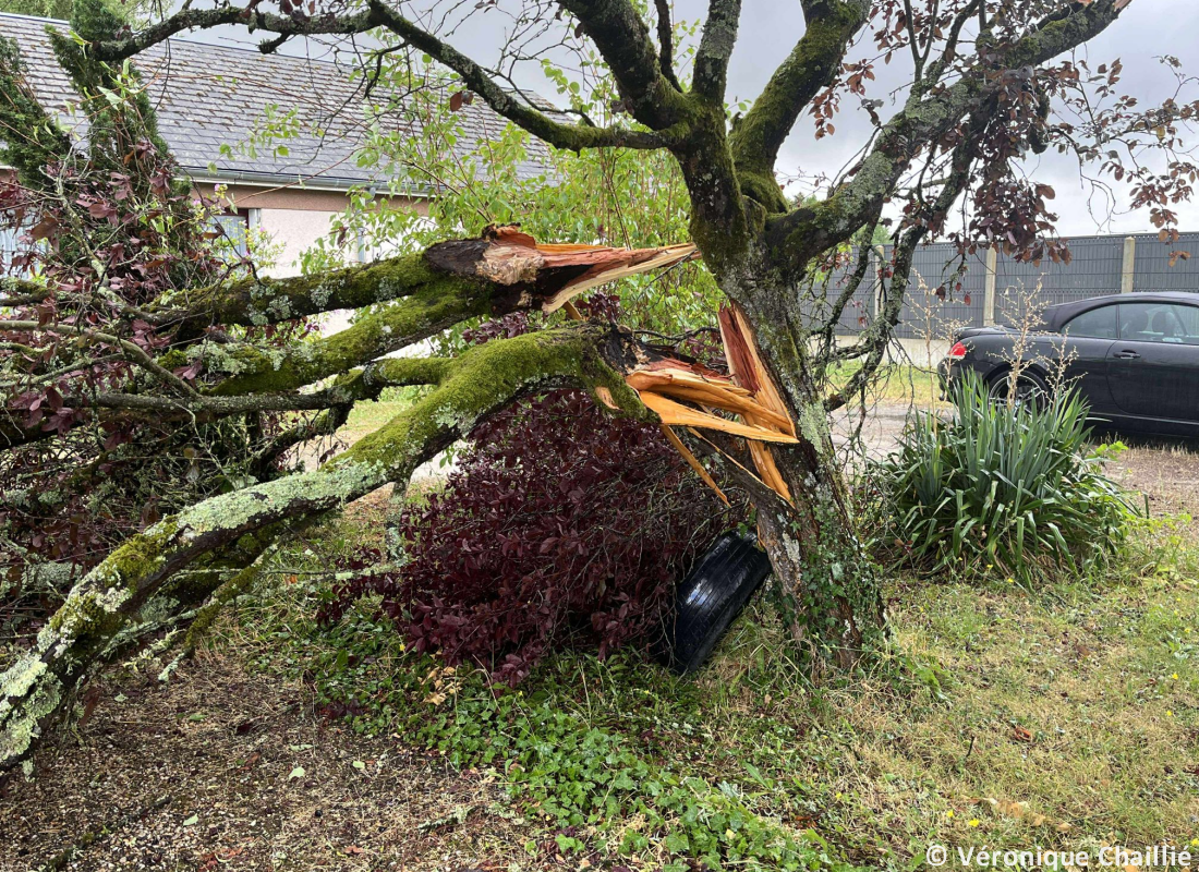 Tornade EF0 à Chitenay (Loir-et-Cher) le 21 juillet 2025