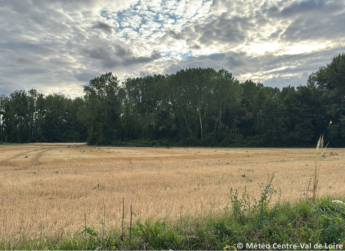 Tornade EF0 à Chitenay (Loir-et-Cher) le 21 juillet 2025