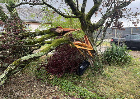 Tornade EF0 à Chitenay (Loir-et-Cher) le 21 juillet 2025