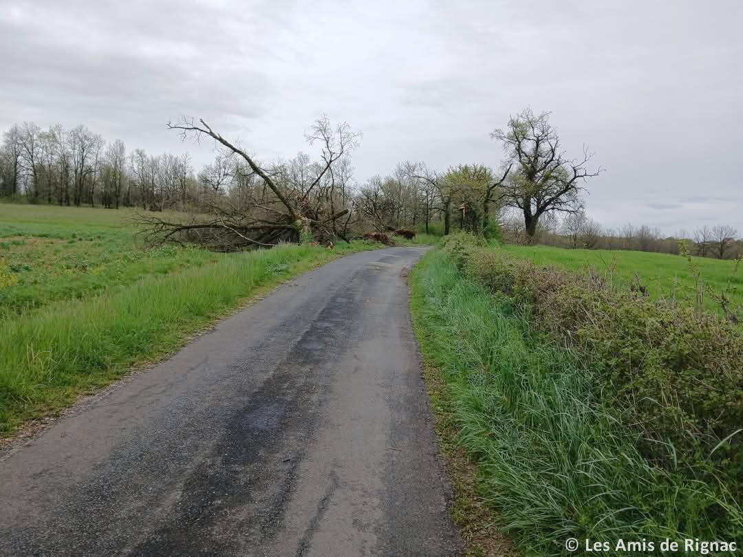 Tornade EF1 à Cuzance (Lot) le 19 avril 2025