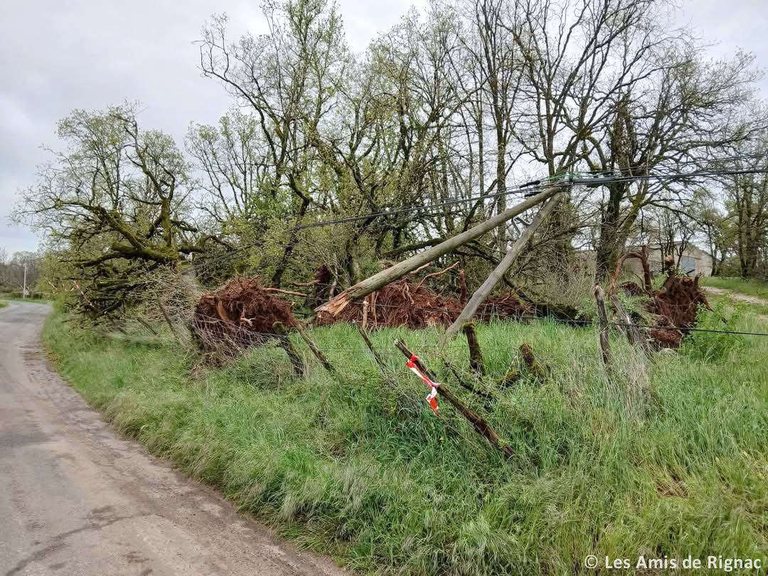 Tornade EF1 à Cuzance (Lot) le 19 avril 2025
