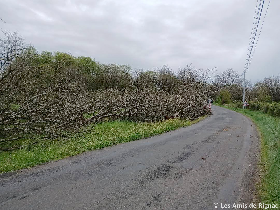 Tornade EF1 à Cuzance (Lot) le 19 avril 2025