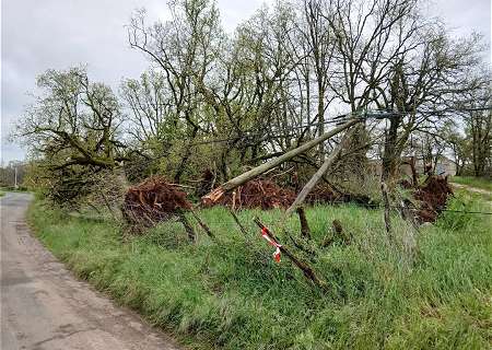 Tornade EF1 à Cuzance (Lot) le 19 avril 2025