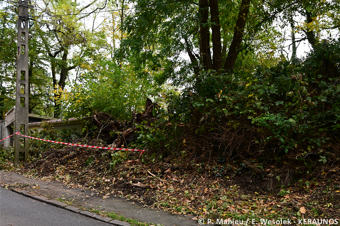 Tornade EF2 à Ermont (Val-d'Oise) le 20 octobre 2025
