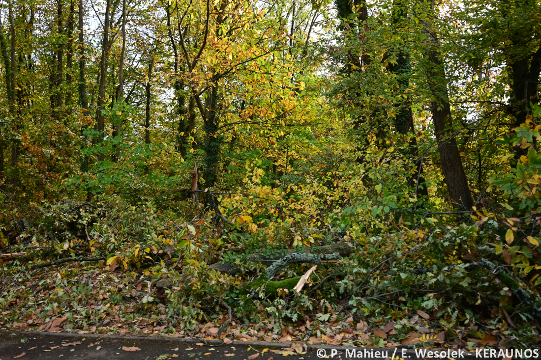 Tornade EF2 à Ermont (Val-d'Oise) le 20 octobre 2025