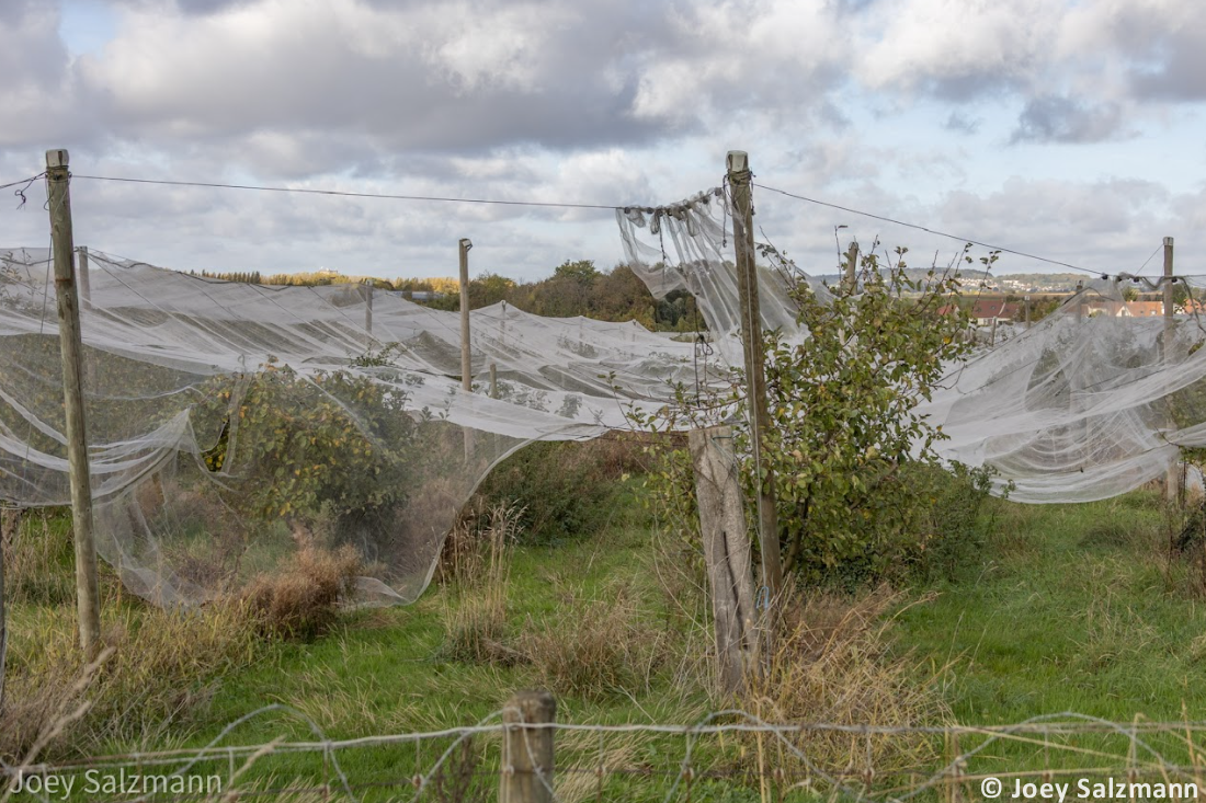 Tornade EF2 à Ermont (Val-d'Oise) le 20 octobre 2025